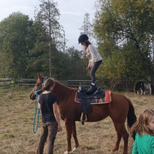 Pferdeglück & Kinderlachen: Reitpädagogische Erlebnistage mit Herz, Spiel & Natur