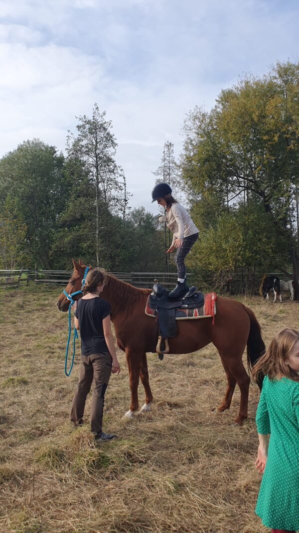 Hufeisen-Academy: pferdegestützte ganzheitliche Förderung und Reiten – Bild 2