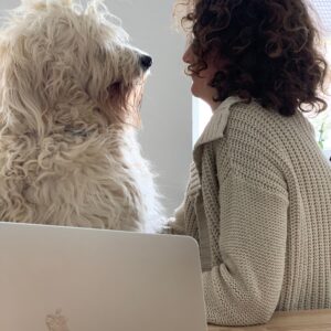 Ausbildung zum Hundetrainer