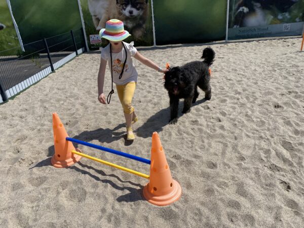 tiergestützte soziale Arbeit mit Hund – Bild 5