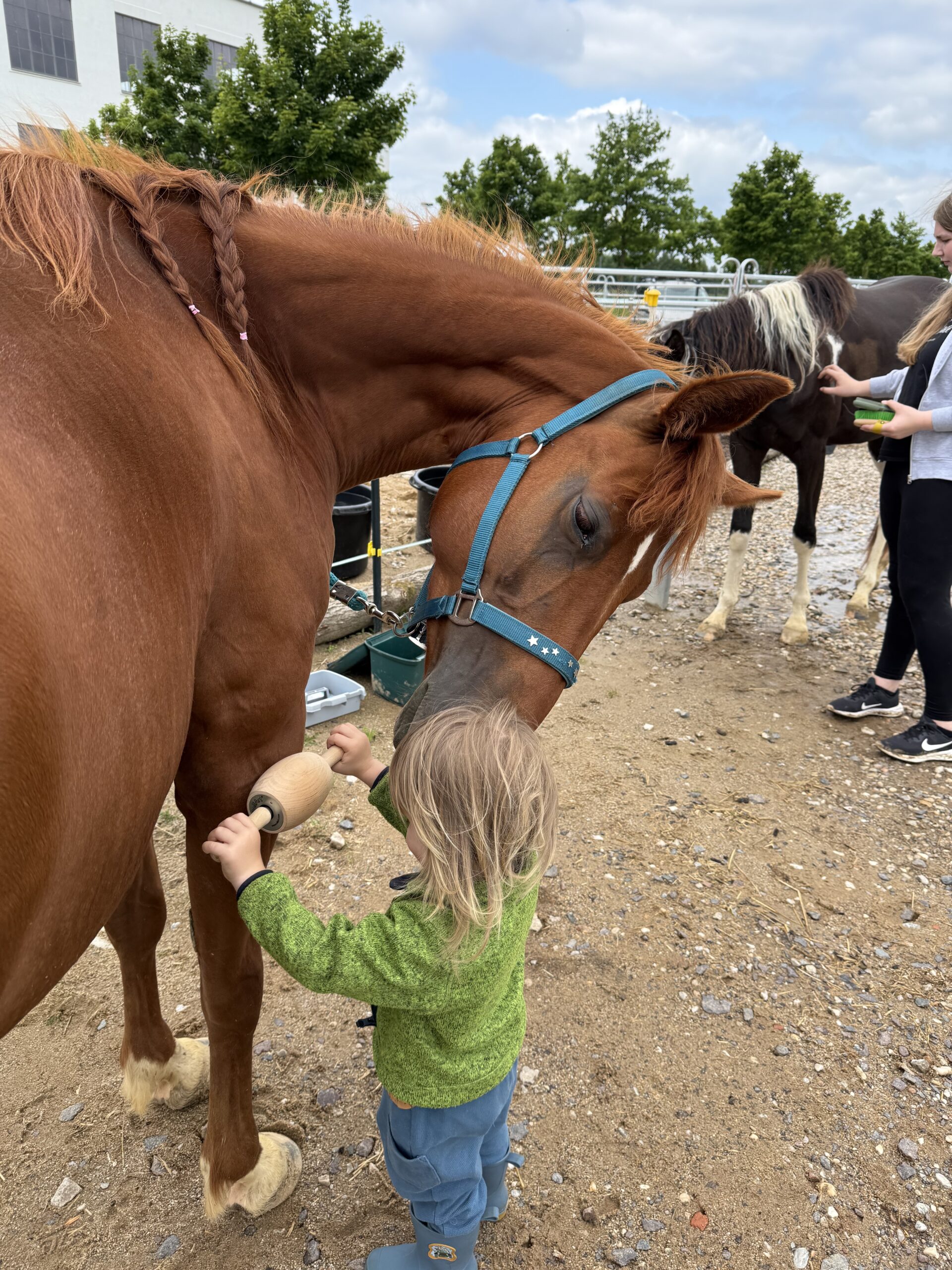 Pferdeglück & Kinderlachen: Reitpädagogische Erlebnistage mit Herz, Spiel & Natur – Bild 2