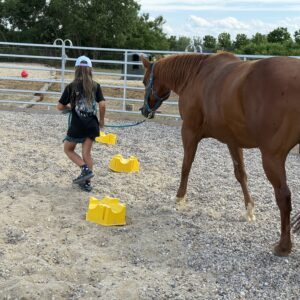Hufeisen-Academy: pferdegestützte ganzheitliche Förderung und Reiten