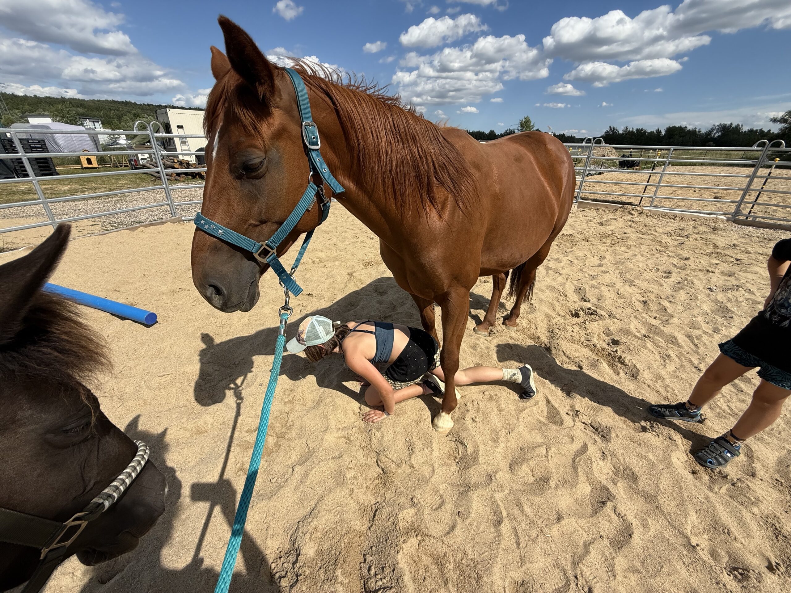 Pferdeglück & Kinderlachen: Reitpädagogische Erlebnistage mit Herz, Spiel & Natur – Bild 4