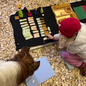 tiergestützte Lernförderung: Schule nach dem Konzept von Maria Montessori und mit Huf und Pfote