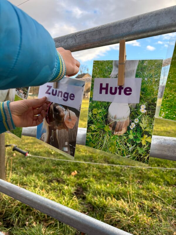 Reittherapie: mit Pferden neue Wege gehen – Bild 8