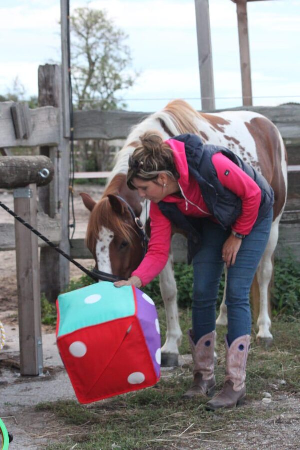 Praxisseminar für Reitpädagogen und Reittherapeuten – Bild 3