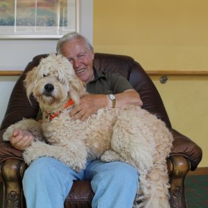 tiergestützte soziale Arbeit mit Hund