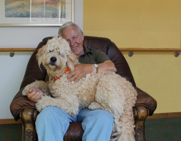 tiergestützte soziale Arbeit mit Hund