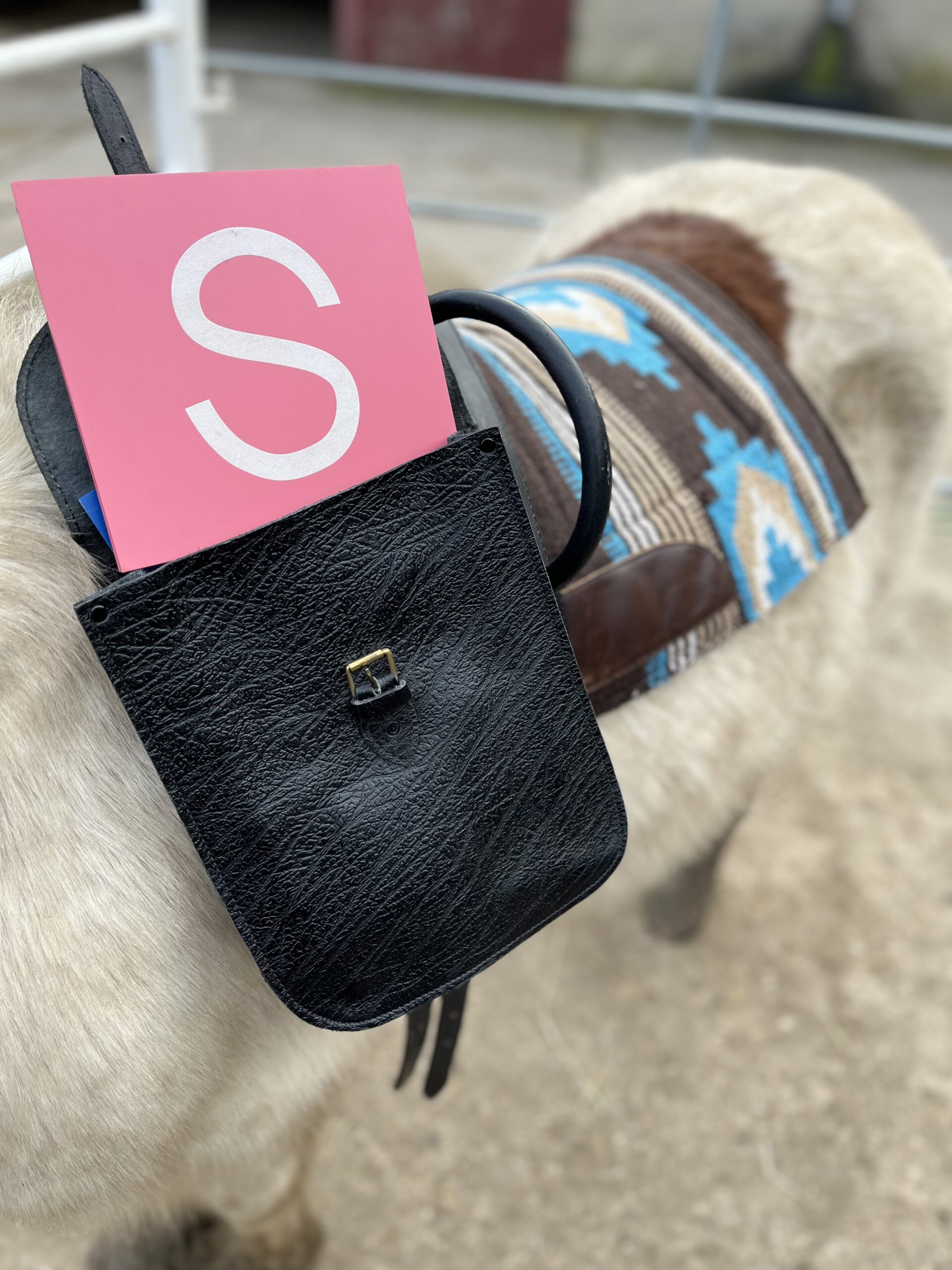 Praxisseminar für Reitpädagogen und Reittherapeuten