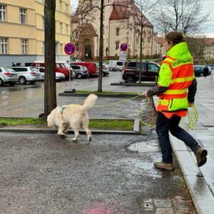 Trainerausbildung für Mantrailing-Teams Einsatz (Aufbaumodul)