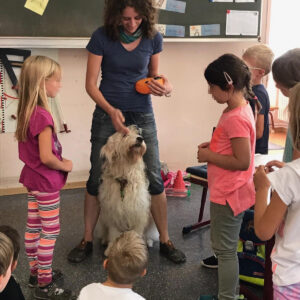 individuelle Anfragen für Seminare, Workshope und Trainings